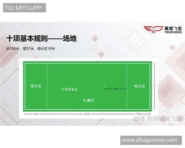 飞盘战术揭秘：南京飞盘队如何构建高效进攻体系与团队配合